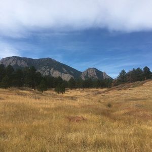 Meet your Posher, Molly